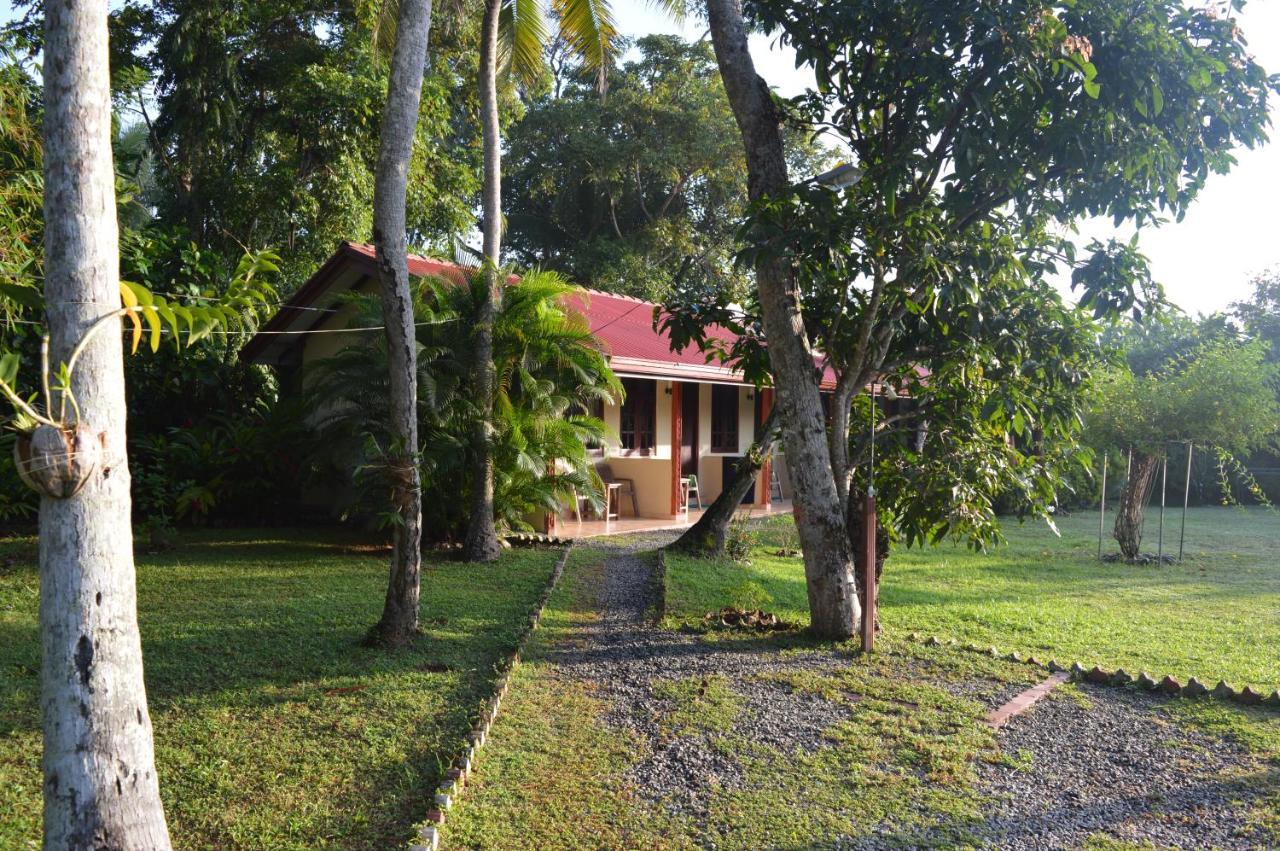 Zum Deutschen Acomodação com café da manhã Bentota Exterior foto