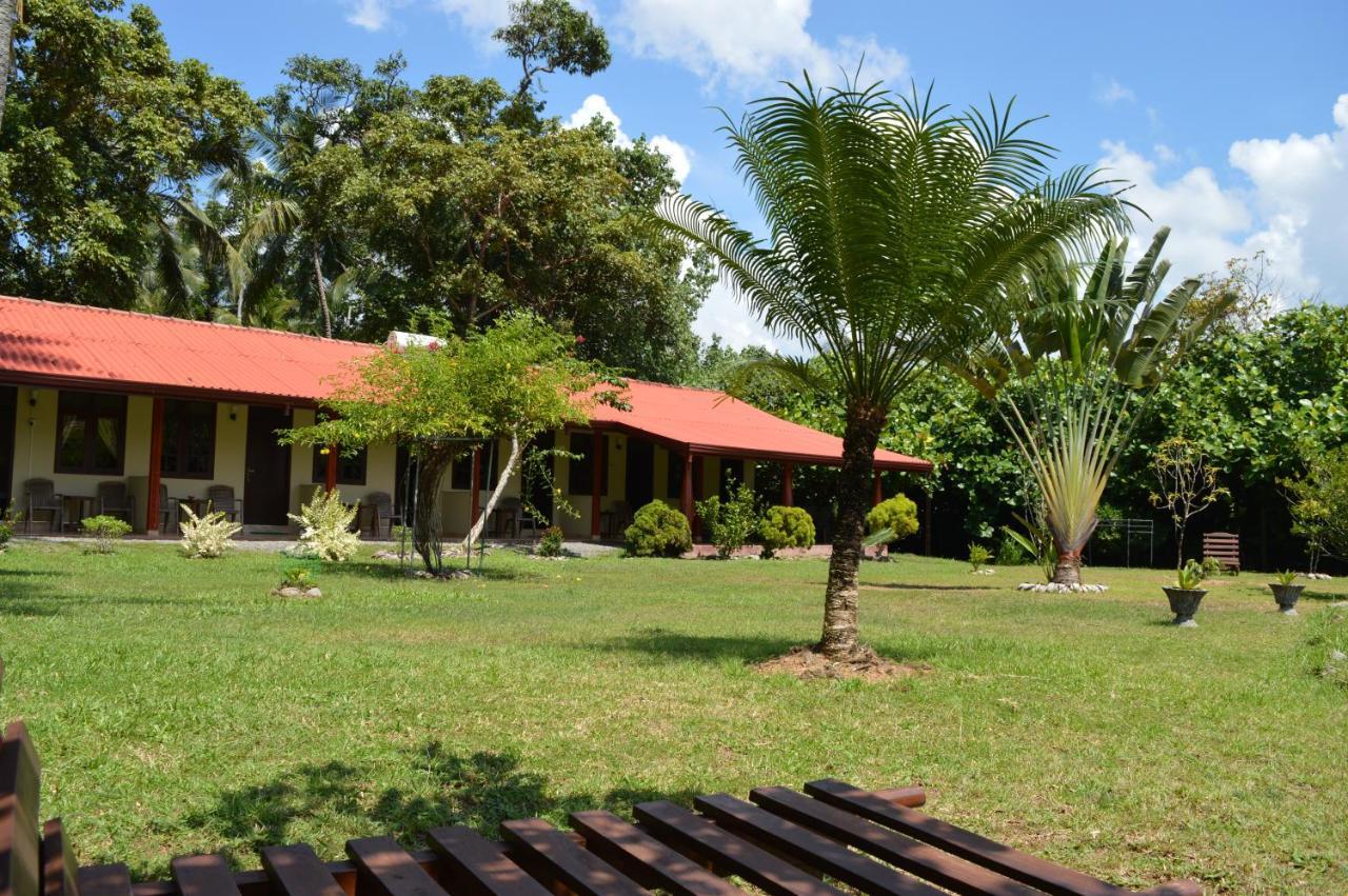 Zum Deutschen Acomodação com café da manhã Bentota Exterior foto